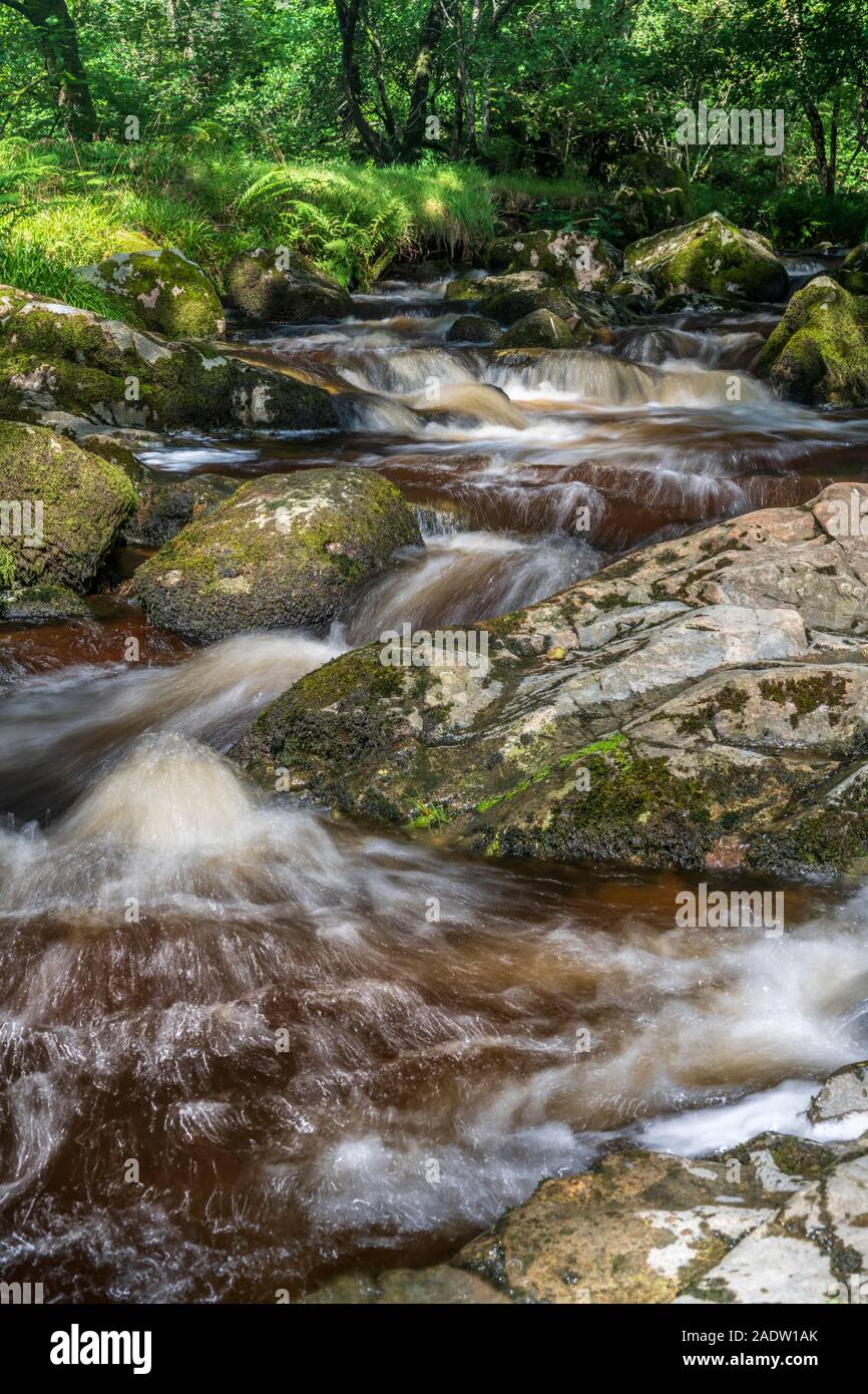 Nach einem späten Sommer Dusche, einem der vielen Bäche im Lake District Strömungen frei über Moos bedeckt Geröllsteinen, wie es schlängelt sich durch die Fells von Nr. Stockfoto