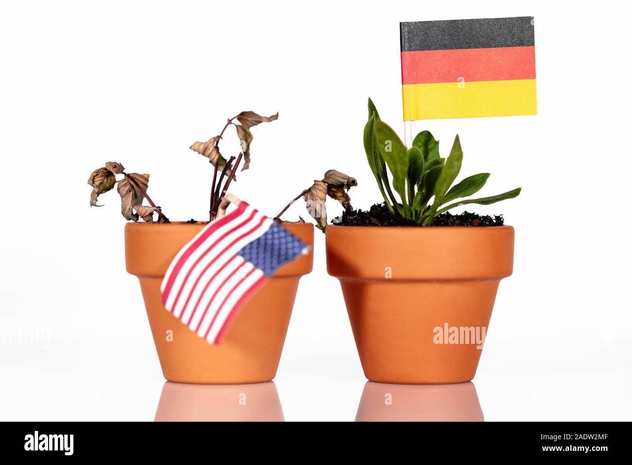 Flagge der USA oder die Vereinigten Staaten und Deutschland in einem Blumentopf mit Dürre Blume, conceptpeanlties oder strafende Tarif oder schlechte Kaufkraft. Symbol für ein Stockfoto