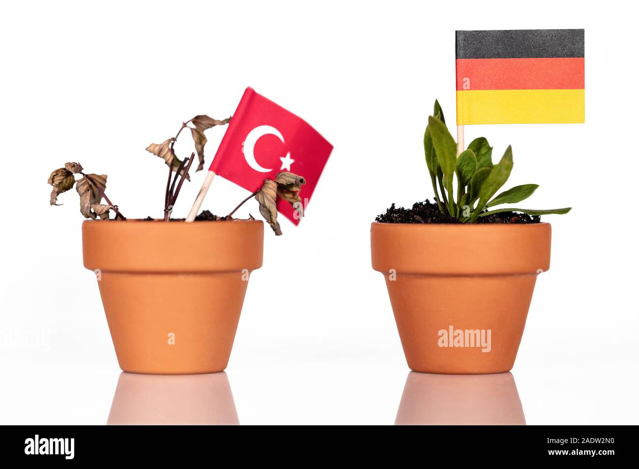 Flaggen der Türkei und Deutschland in einem Blumentopf mit Dürre Blume, conceptpeanlties oder strafende Tarif oder schlechte Kaufkraft. Symbol für eine schlechte Wirtschaft Stockfoto