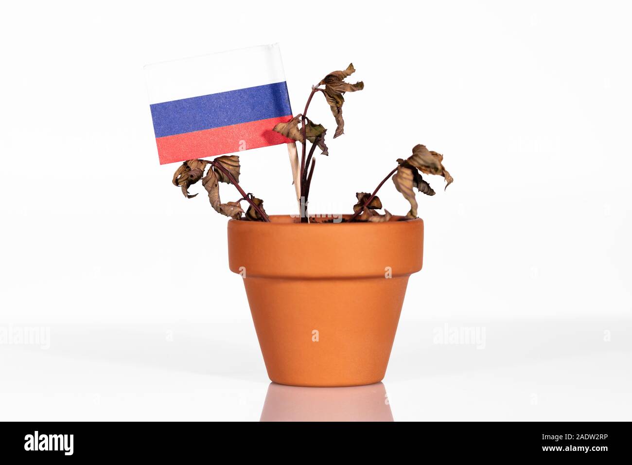 Flagge von Russland oder die Russische Föderation in einem Blumentopf mit Dürre Blume, conceptpeanlties oder strafende Tarif oder schlechte Kaufkraft. Symbol für eine schlechte Stockfoto