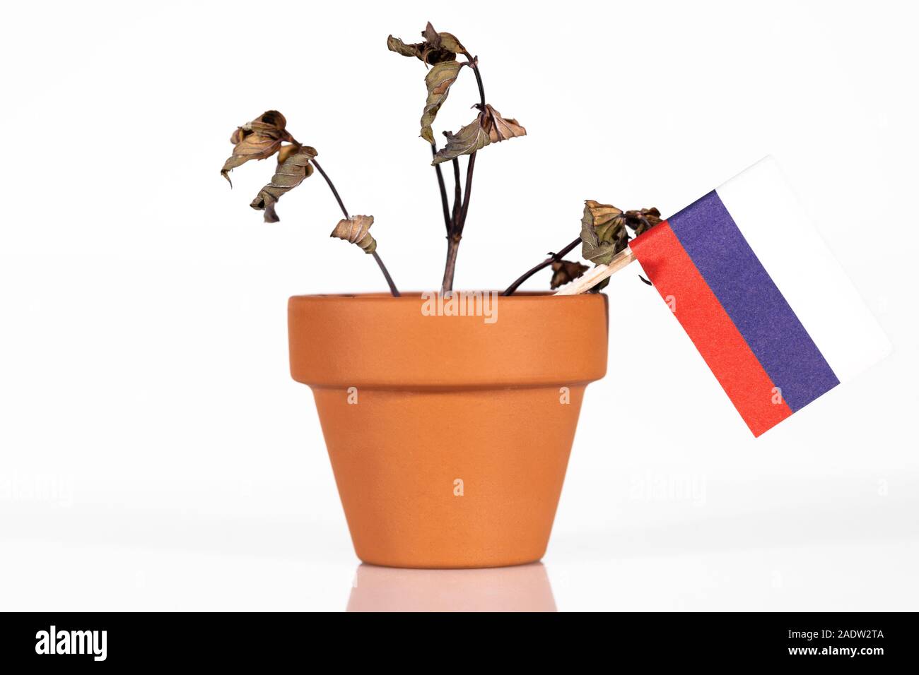 Flagge von Russland oder die Russische Föderation in einem Blumentopf mit Dürre Blume, conceptpeanlties oder strafende Tarif oder schlechte Kaufkraft. Symbol für eine schlechte Stockfoto