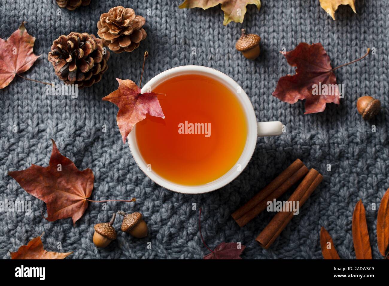 Kaffee Tasse mit Blätter im Herbst. Grauer Hintergrund. Ansicht von oben Stockfoto