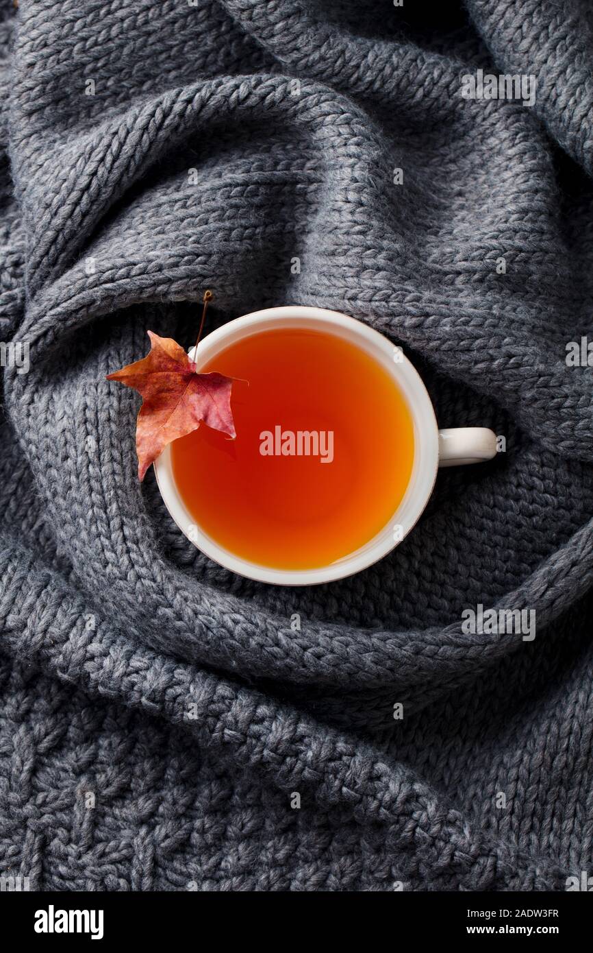 Kaffee Tasse mit Blätter im Herbst. Grauer Hintergrund. Ansicht von oben Stockfoto