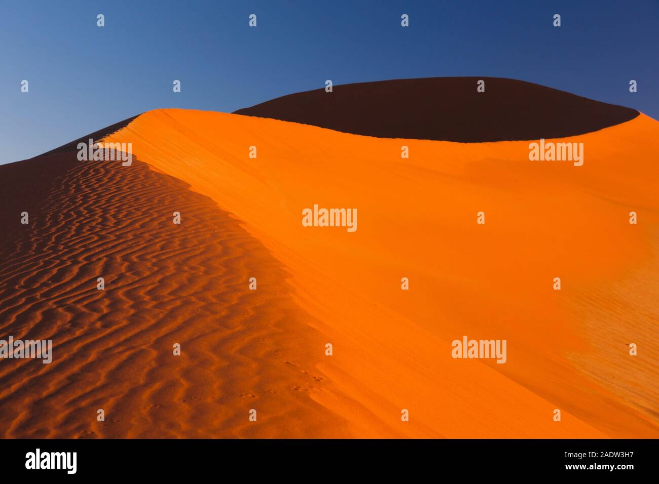 Morgendünen mit Windwellen, Sossusvlei, Namib-Wüste, Namib-Naukluft-Nationalpark, Namibia, Südliches Afrika, Afrika Stockfoto