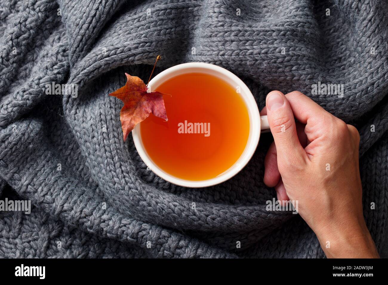 Tasse Tee in weiblicher Hand mit Blätter im Herbst. Grauer Hintergrund. Ansicht von oben Stockfoto