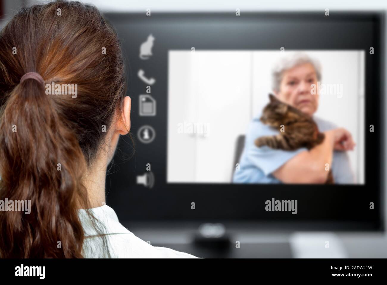 Telemedizin mit dem Tierarzt Tierarzt am Schreibtisch suchen, ältere Frau und eine Katze auf Live Chat mit Symbolen Stockfoto