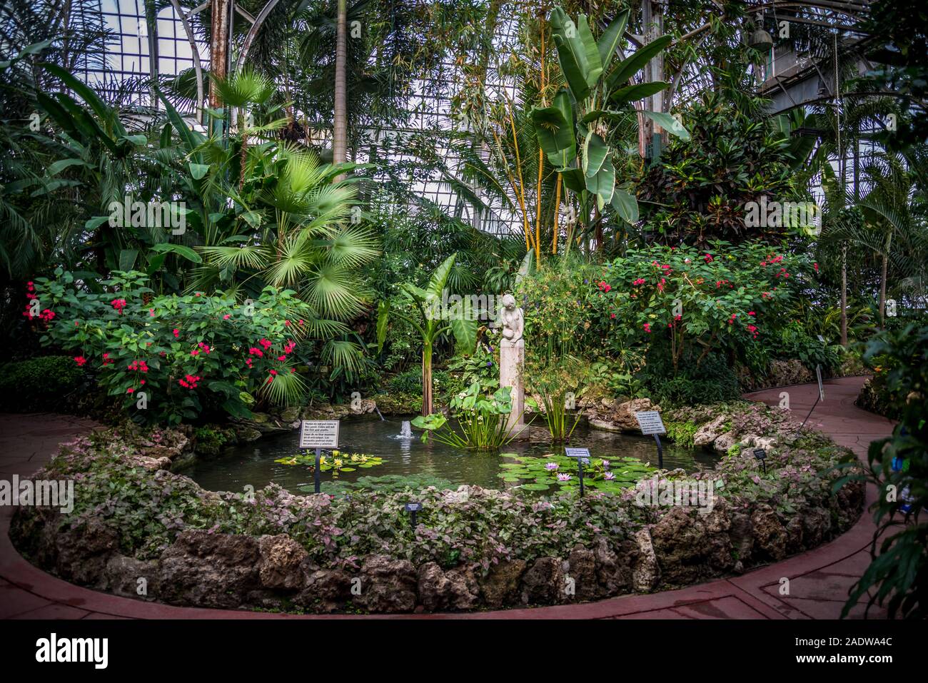 Palm House, Lincoln Park Conservatory, Lincoln Park, Nordseite, Chicago, Illinois, USA Stockfoto