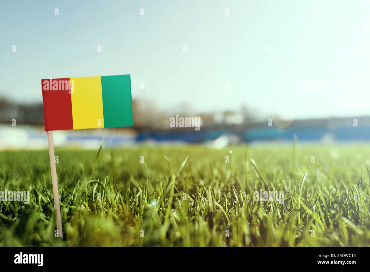 Miniatur stick Guinea Flagge auf grünem Gras, sonnigen Gebiet. Stadion Hintergrund, kopieren Platz für Text. Stockfoto