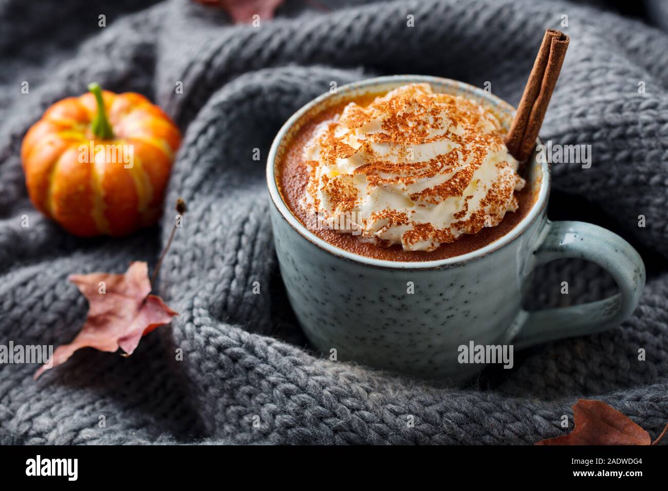 Kürbis Latte mit Gewürzen. Versoffenes Cocktail mit Schlagsahne. Grau gestrickt Hintergrund. Close Up. Stockfoto