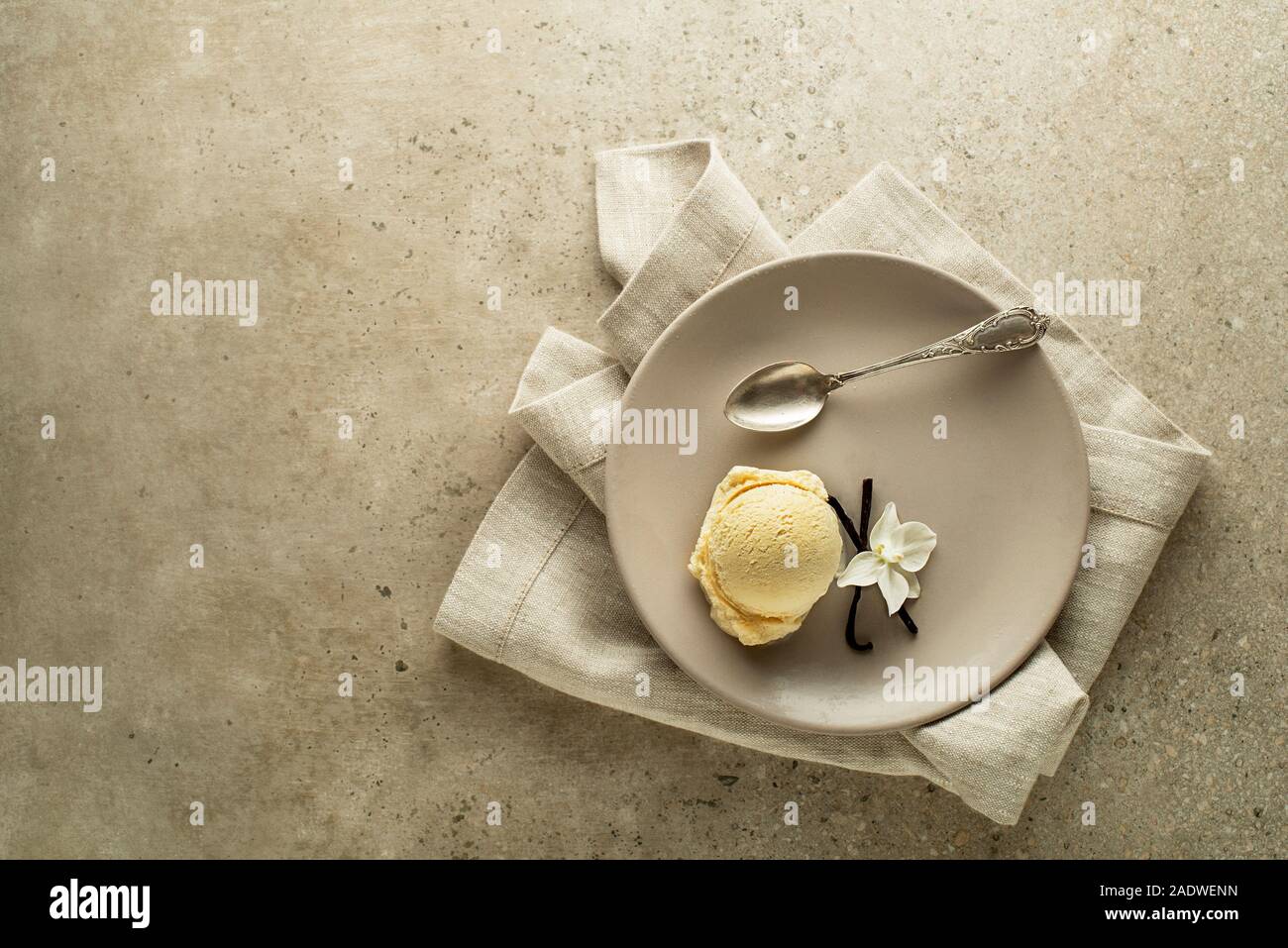 Hausgemachte Bio Vanille Softeis. Vanille Joghurt- oder Softeis mit Blume Stockfoto