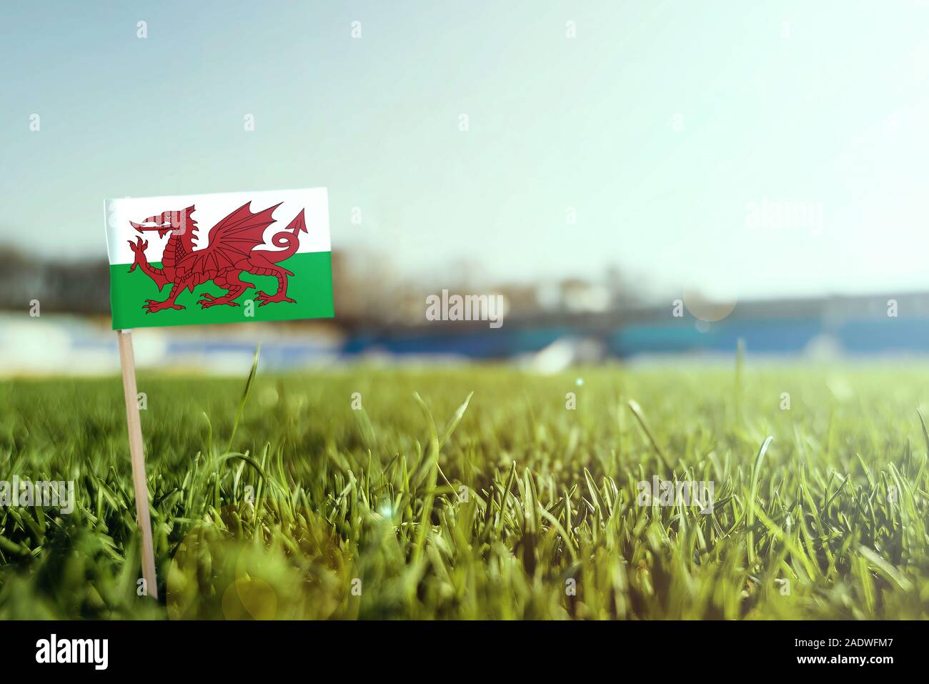 Miniatur stick Wales Flagge auf grünem Gras, sonnigen Gebiet. Stadion Hintergrund, kopieren Platz für Text. Stockfoto