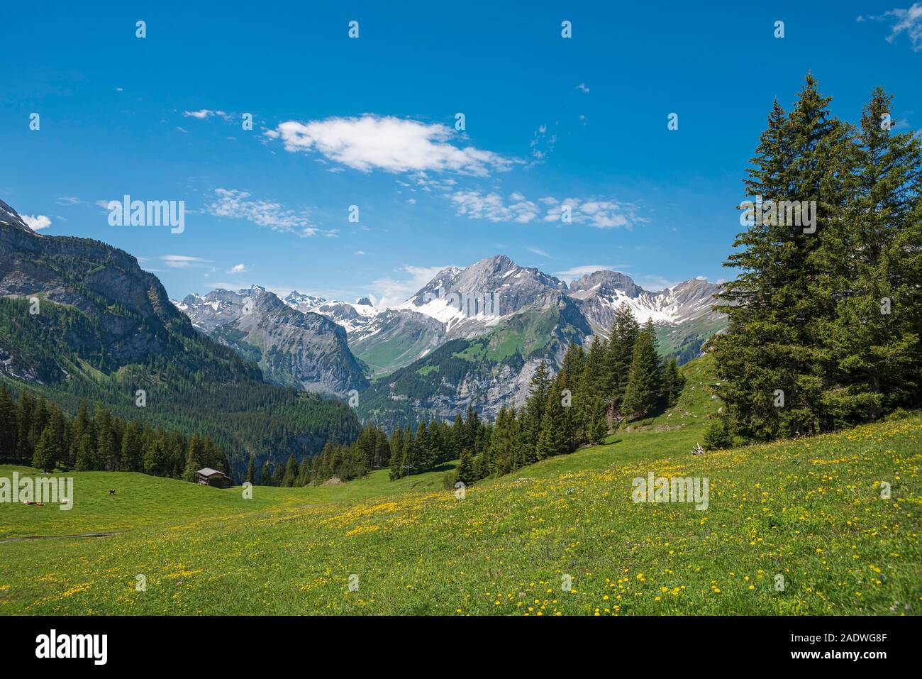 Berglandschaft mit dem Gipfel des Gröberen Lohner, Kandersteg, Berner Oberland, Kanton Bern, Schweiz Stockfoto