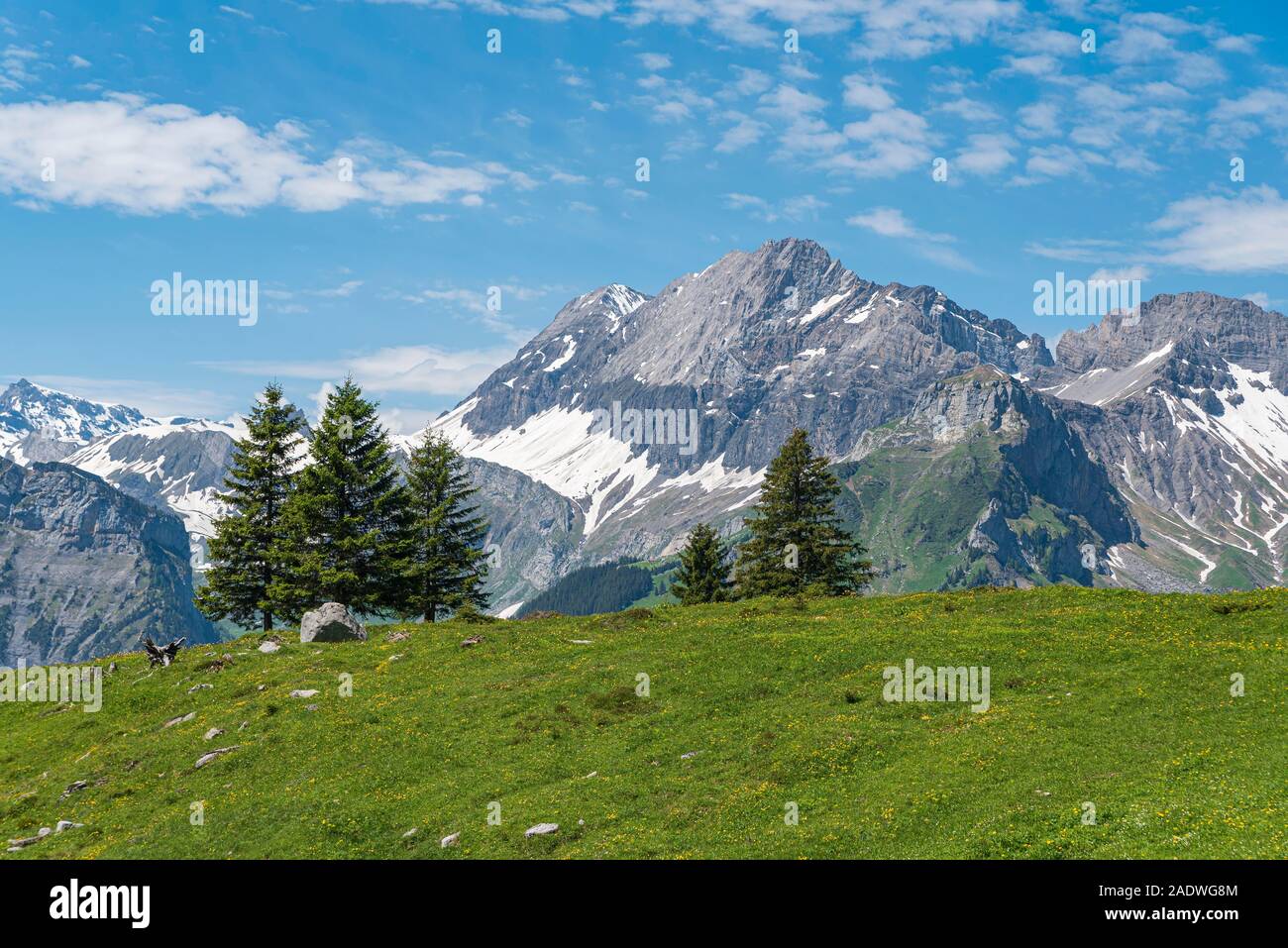 Berglandschaft mit dem Gipfel des Gröberen Lohner, Kandersteg, Berner Oberland, Kanton Bern, Schweiz Stockfoto