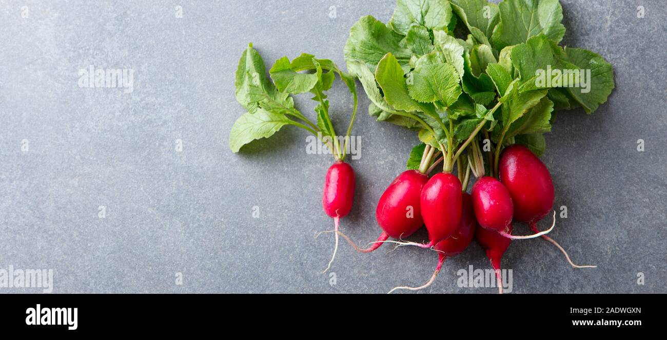 Radieschen Bündel auf grauem Stein Hintergrund. Kopieren Sie Platz. Ansicht von oben. Stockfoto