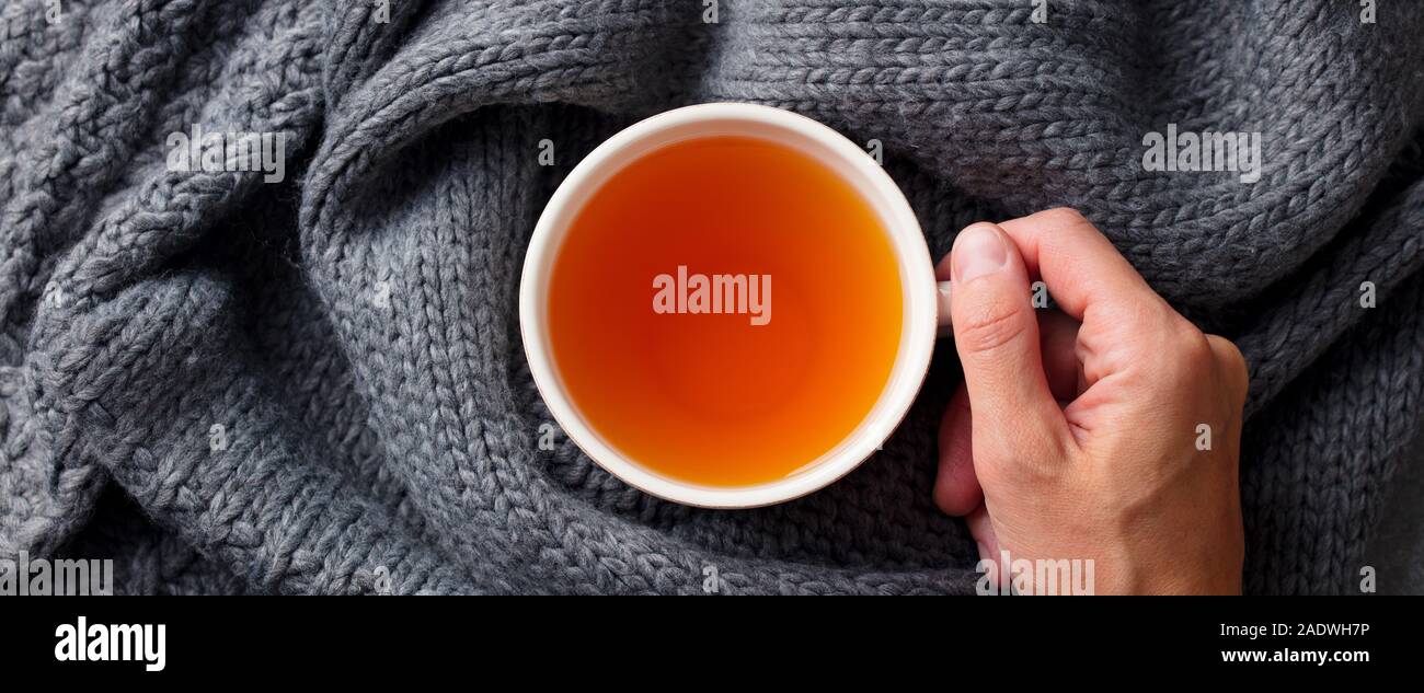 Tasse Tee in weiblicher Hand auf strickschal. Grauer Hintergrund. Ansicht von oben Stockfoto