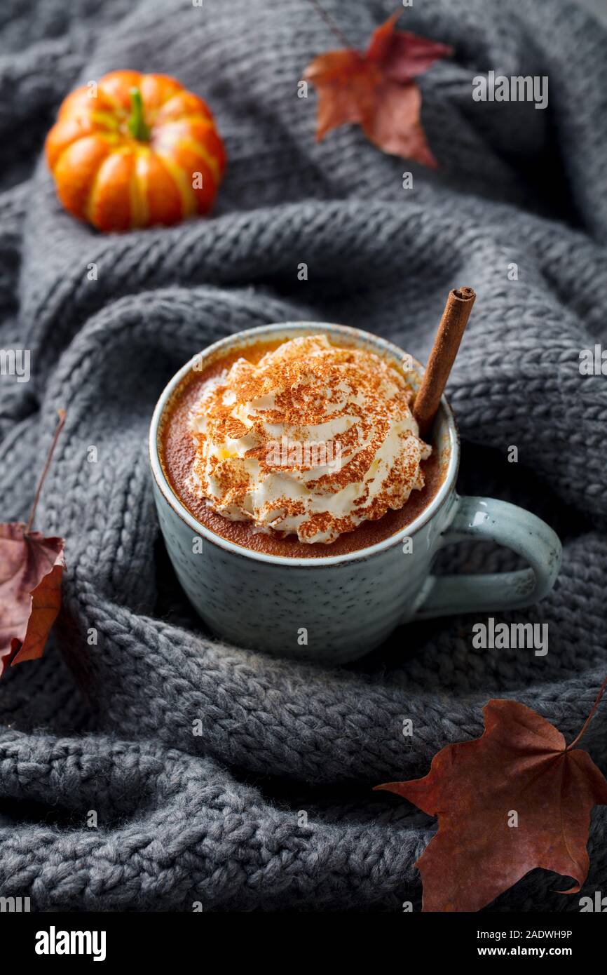 Kürbis Latte mit Gewürzen. Versoffenes Cocktail mit Schlagsahne. Grau gestrickt Hintergrund. Platz kopieren Stockfoto