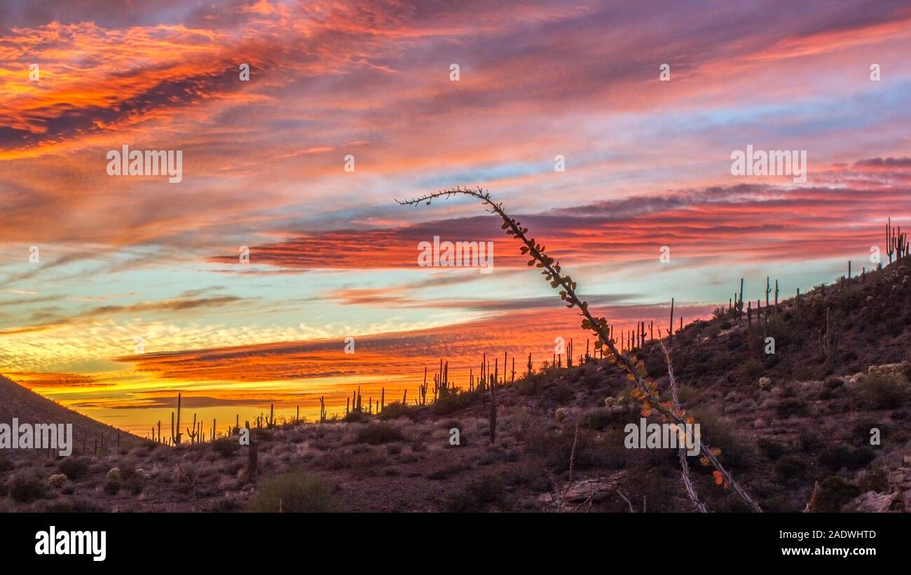 Epoc Sonnenuntergang aus einem hikng Trail im Scotttsdale, AZ. Stockfoto