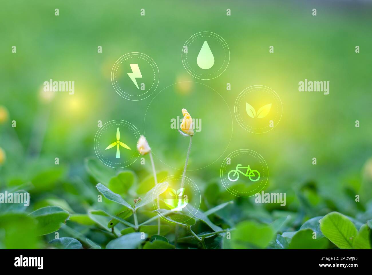 Natur auf grüne Blätter mit einem Symbol der Energiequellen für eine nachhaltige Stockfoto