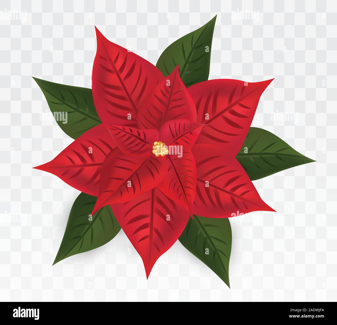 weihnachtsstern außen solar Sternleuchten-Set 