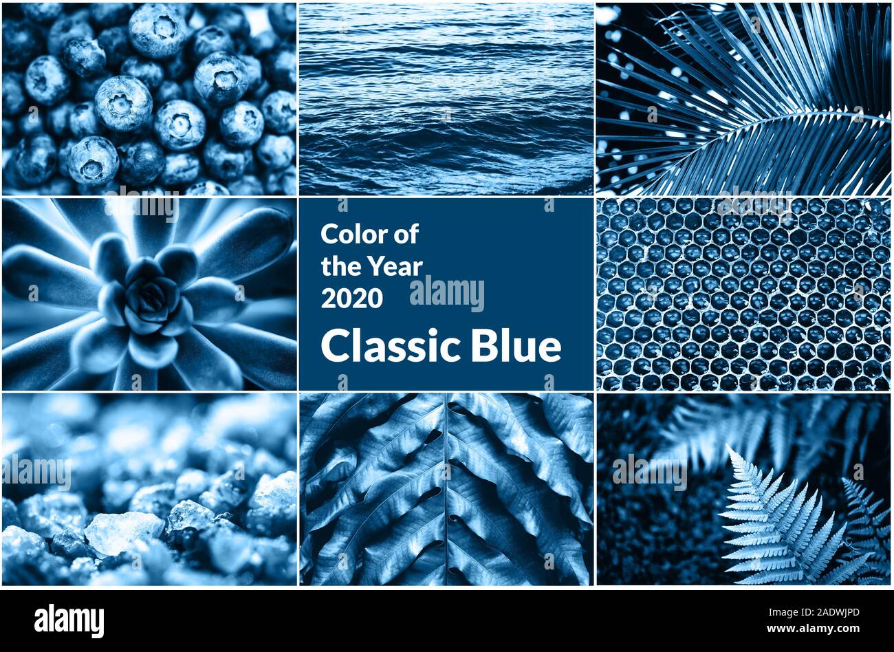 Kreative Collage aus Natur Texturen durch blaue Farbe inspiriert. Stockfoto