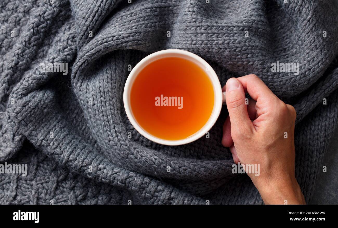 Tasse Tee in weiblicher Hand auf strickschal. Grauer Hintergrund. Ansicht von oben Stockfoto