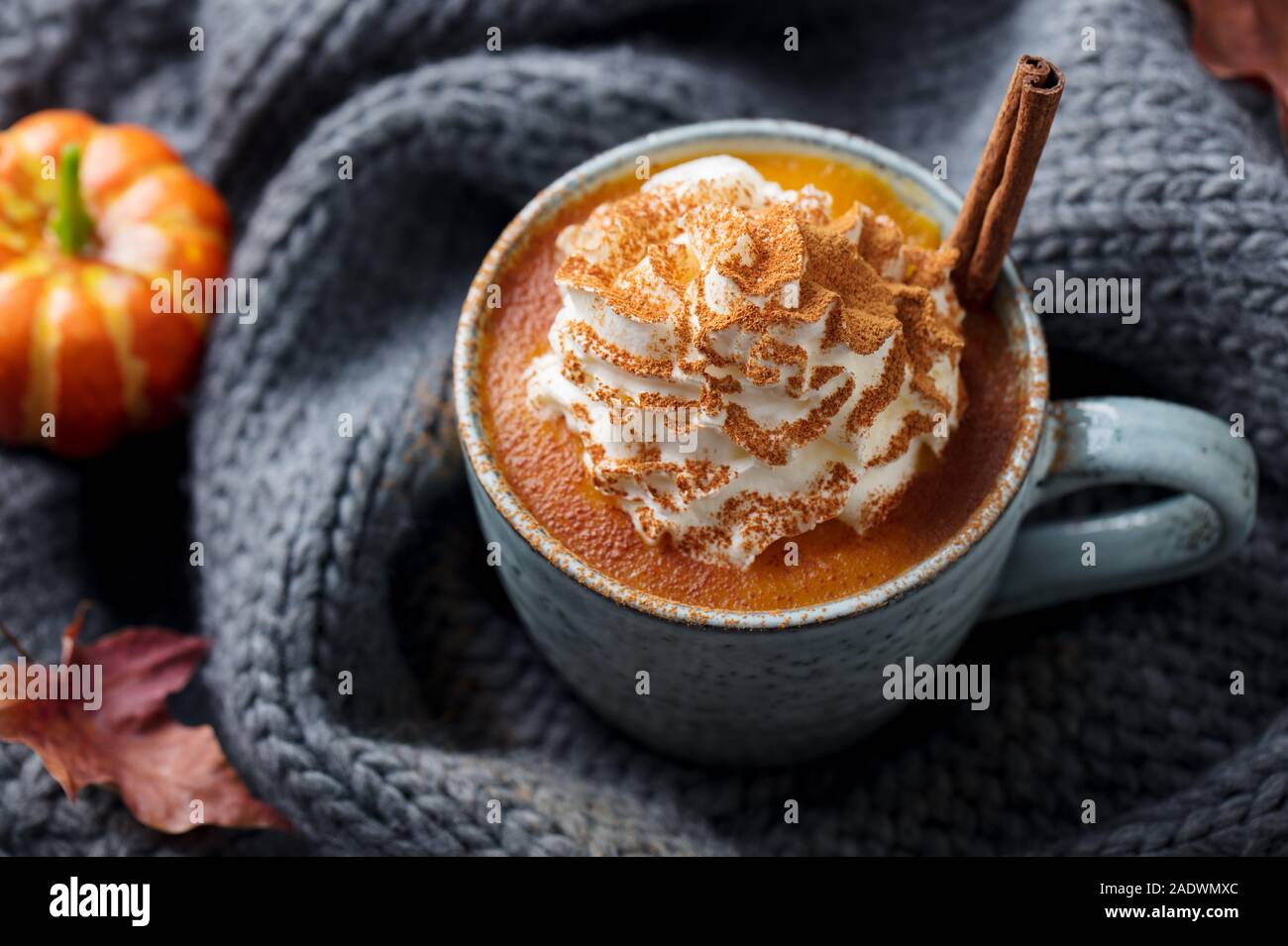 Kürbis Latte mit Gewürzen. Versoffenes Cocktail mit Schlagsahne. Grau gestrickt Hintergrund. Ansicht von oben Stockfoto