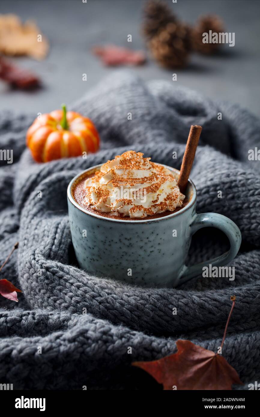 Kürbis Latte mit Gewürzen. Versoffenes Cocktail mit Schlagsahne. Grau gestrickt Hintergrund. Platz kopieren Stockfoto