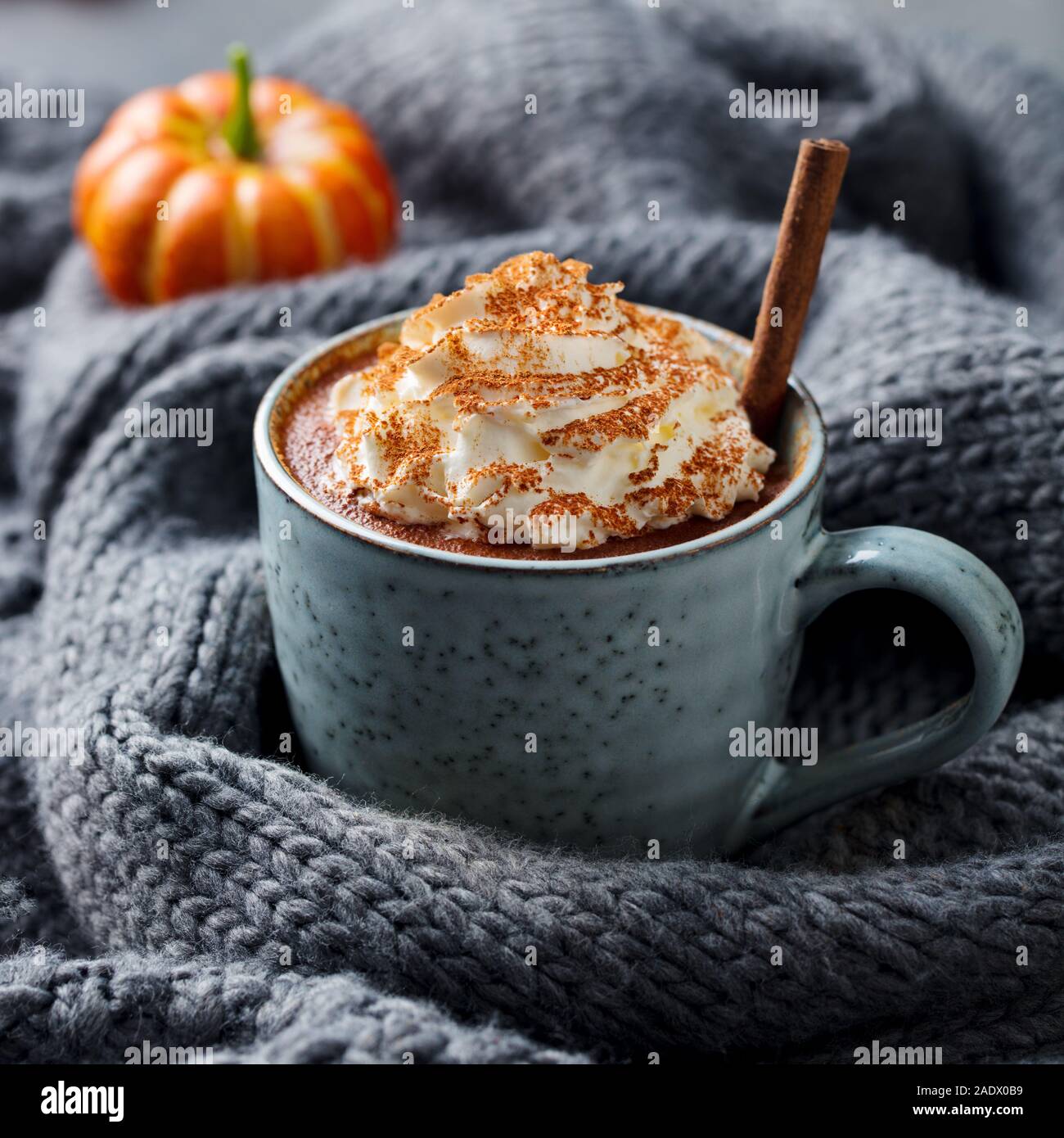 Kürbis Latte mit Gewürzen. Versoffenes Cocktail mit Schlagsahne. Grau gestrickt Hintergrund. Nahaufnahme Stockfoto