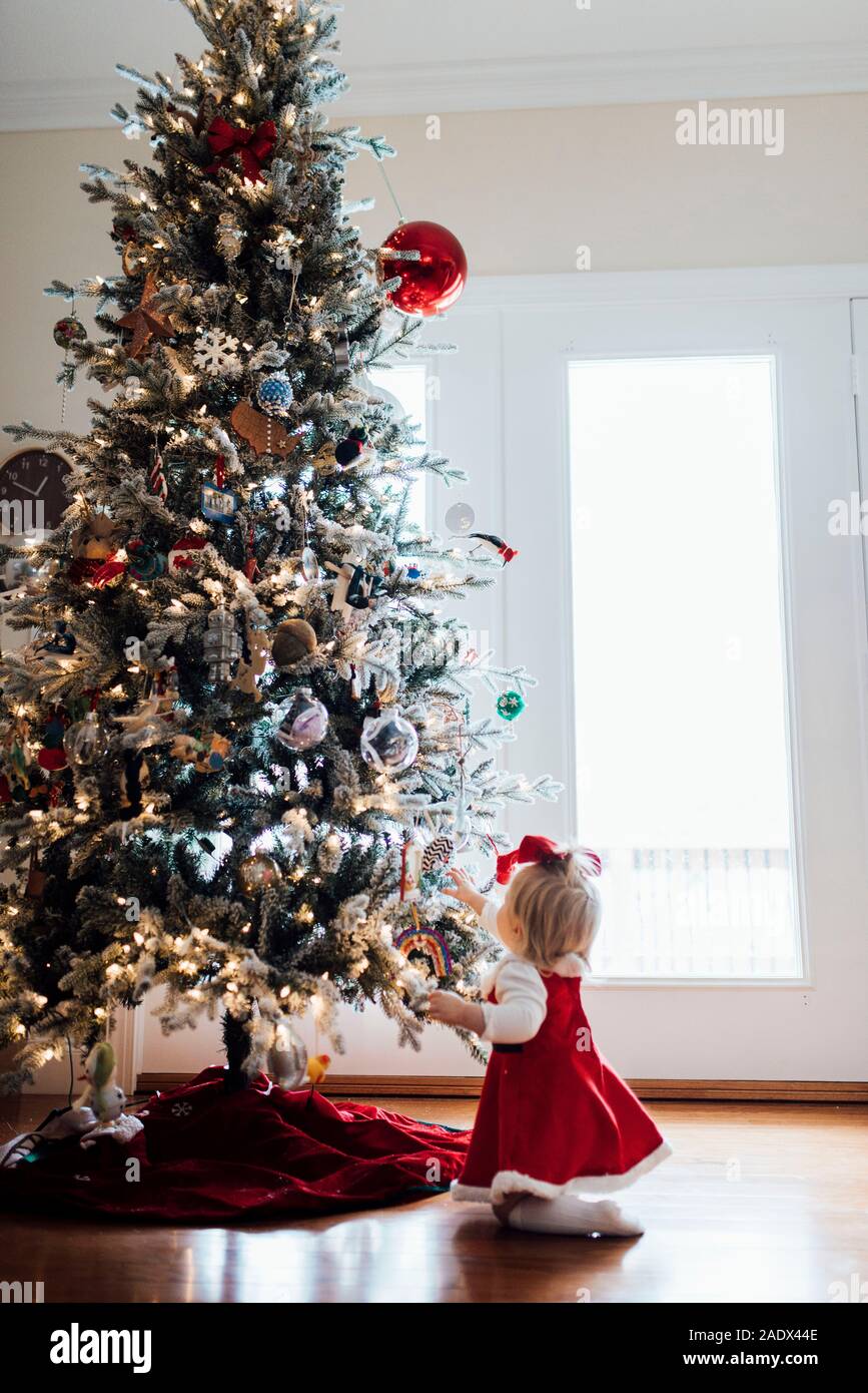 Junge Mädchen an Ornamenten auf Weihnachtsbaum suchen Stockfoto