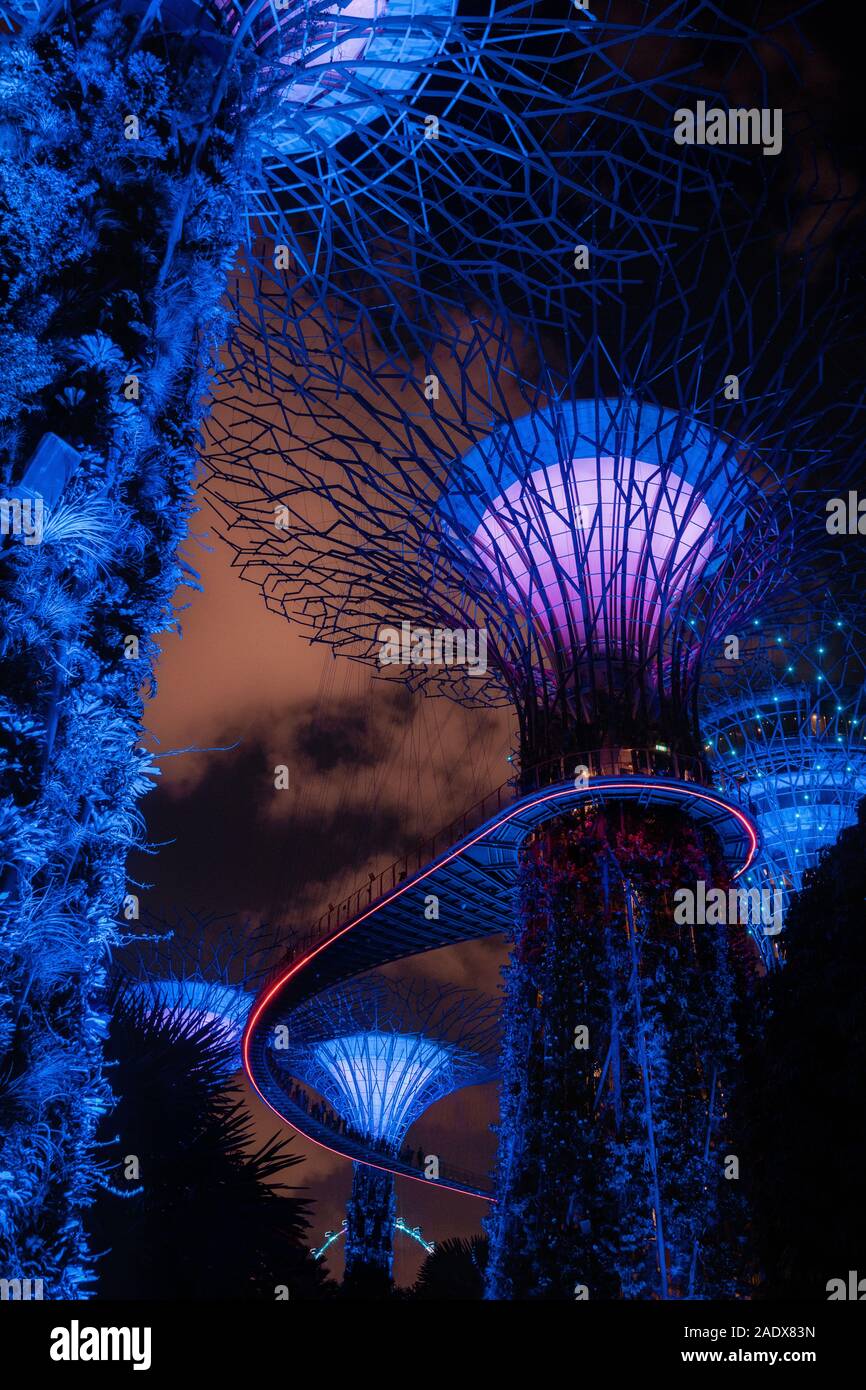 Singapur - April 2, 2018: Licht der riesigen Bäume im Garten durch die Bucht bei Nacht in Singapur. Stockfoto