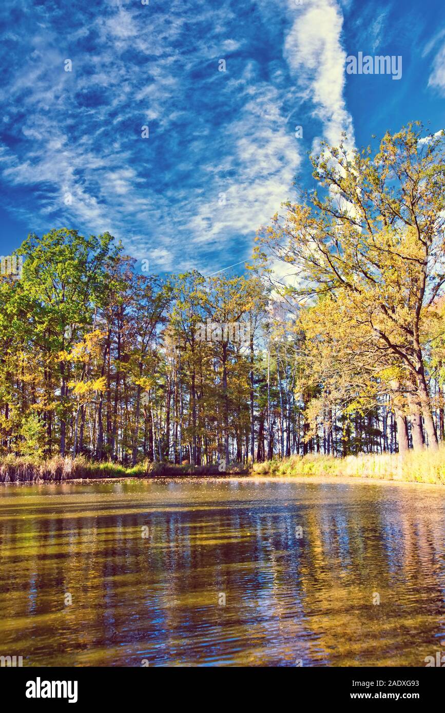 Vertikale Foto mit kleinen See. Foto ist im Herbst mit mehreren Bäume mit bunten Blättern festgehalten. Himmel ist blau mit dramatischen Himmel. Stockfoto