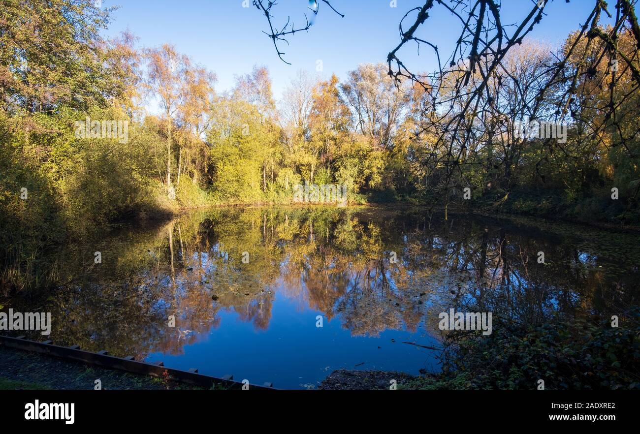 Die Spanbroekmolen Poole von Frieden, auch als einsamer Baum Krater, der größten der 19 Sprengtrichter durch die 1917 Schlacht von Messines Grat links bekannt Stockfoto