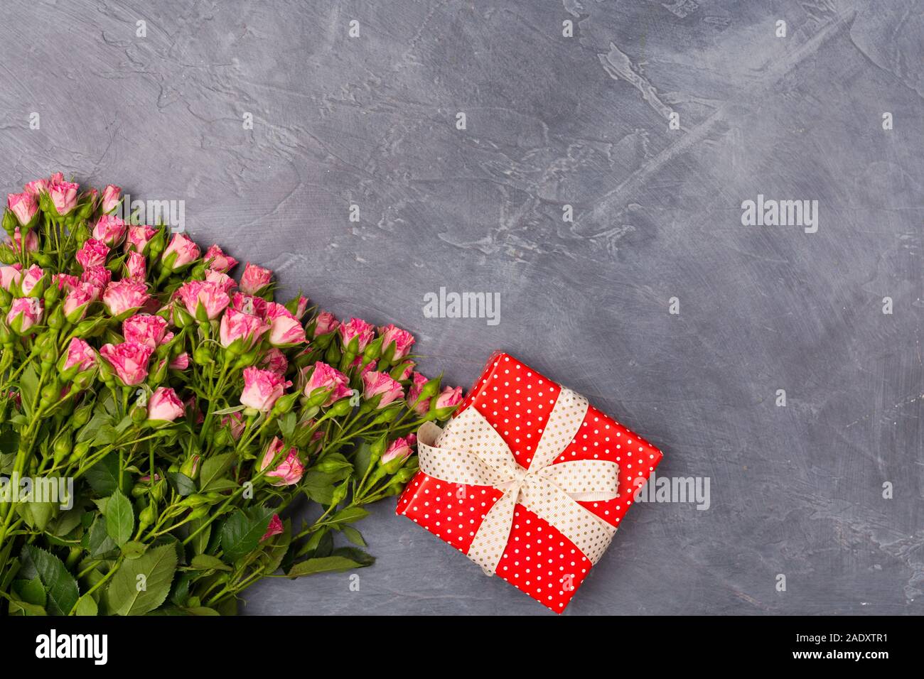 Rosa spray Rosen, Geschenk in der Red Box auf grauem Hintergrund. Der Frau des Tages Mutter Valentinstag Konzept kopieren Raum Stockfoto