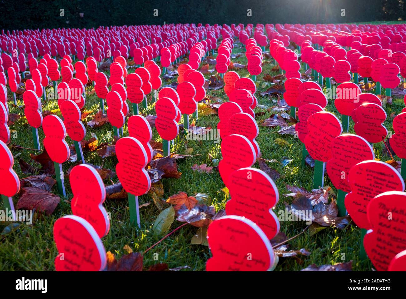 Bereich der Mohnblumen am Menentor, Ypern Stockfoto