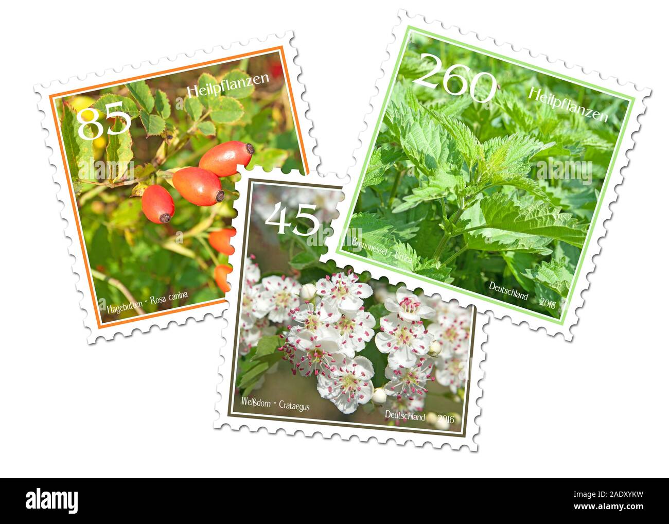 Drei Briefmarken mit Heilpflanzen Stockfoto