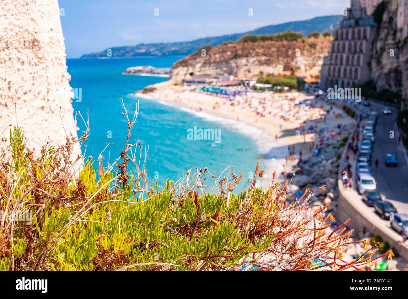 Südliche Pflanzen wachsen auf dem Felsen auf Vorder- und Rotonda Strand voller Menschen auf dem Hintergrund. Strandpromenade Landschaft in Tropea mit hohen Klippen Stockfoto