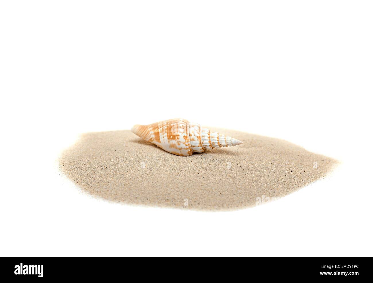 Weißer Sand und Shell, Sandhaufen mit Seashell auf weißem Hintergrund, Ansicht von oben für Entwickler Ideen isoliert Stockfoto