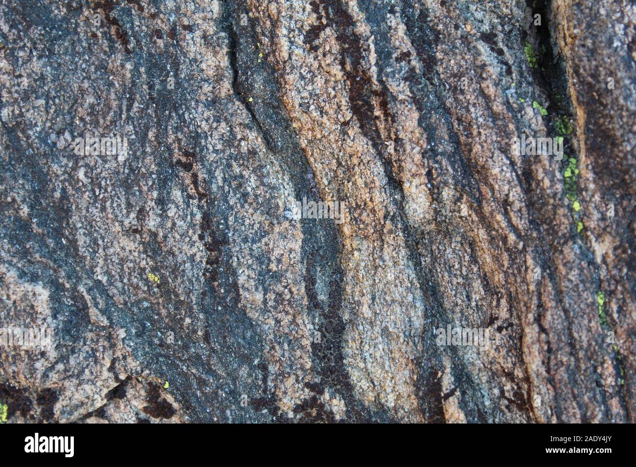 In Joshua Tree National Park sind die Felsen von Ryan Berg, ihre eleganten, attraktiven Mustern mit magischen Südlichen Mojave Wüste Geschichte verschlüsselt. Stockfoto