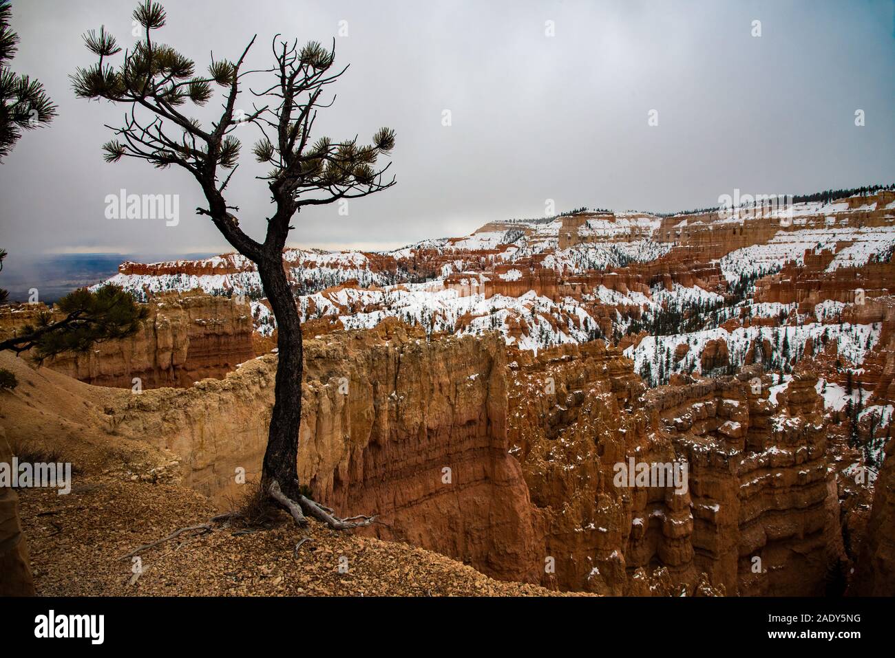 Sunset Point im Bryce Canyon, Ut. USA. Die Red Rock 'Hoodoos' eine geheimnisvolle und mystische malerischen Wonderland erstellen. Es ist ein erstklassiges Ziel. Stockfoto
