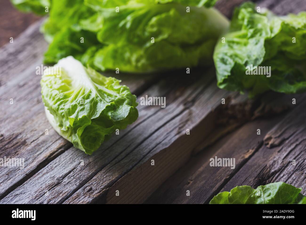 Frische baby Salat auf Holzbrett. Gesund vegan auf Basis pflanzlicher Nahrung auf rustikalen Holztisch Stockfoto