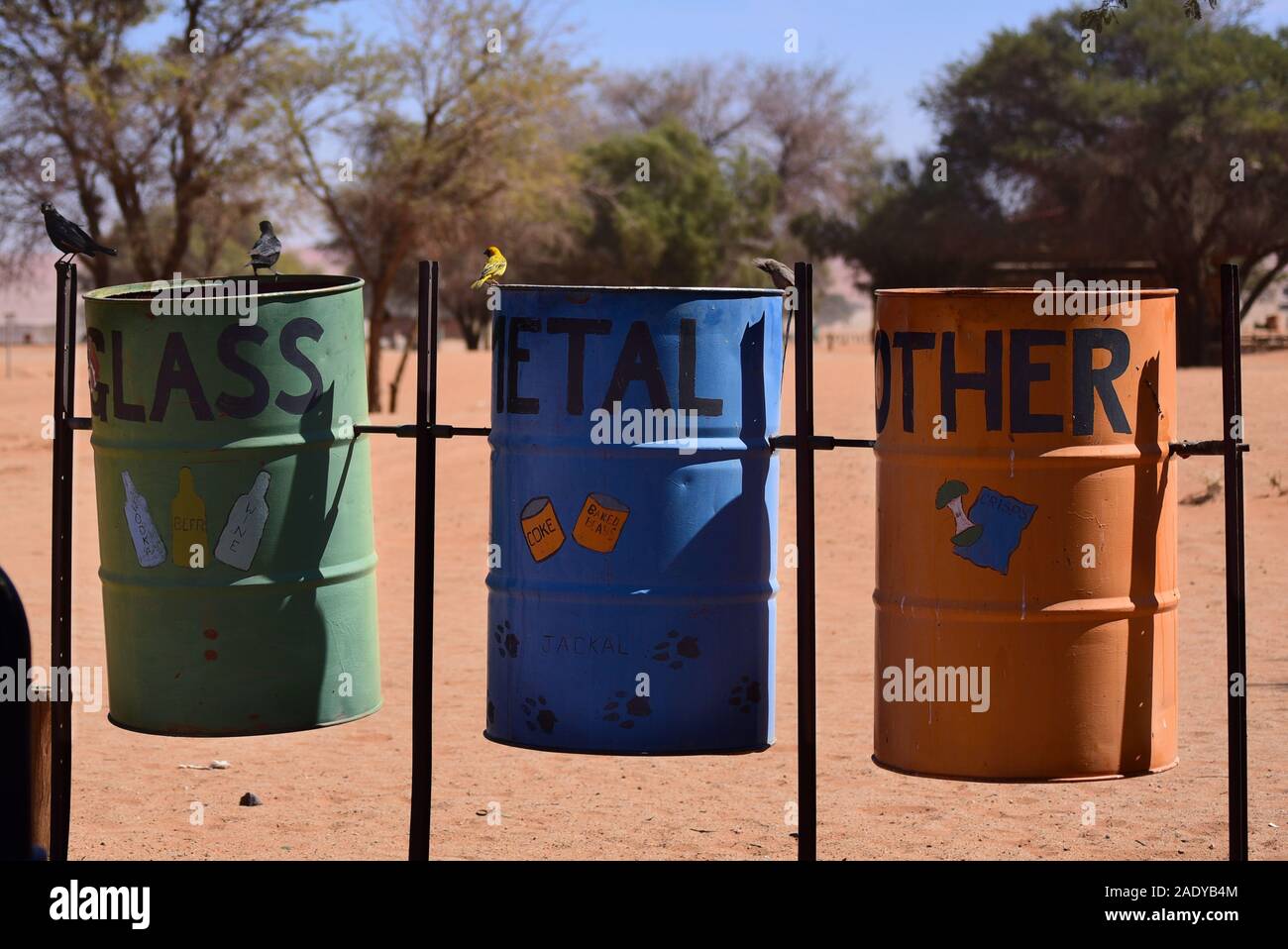Nahaufnahme des Recycling Abfallbehälter mit Vögel auf der Suche nach Essen bei Sesriem Campingplatz. Namibia Stockfoto