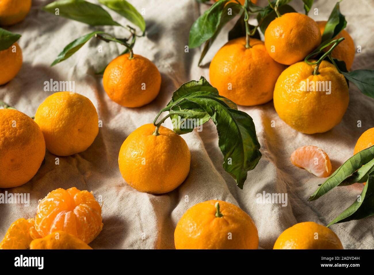 Raw orange organisch Mandarinen mit grünen Blättern Stockfoto