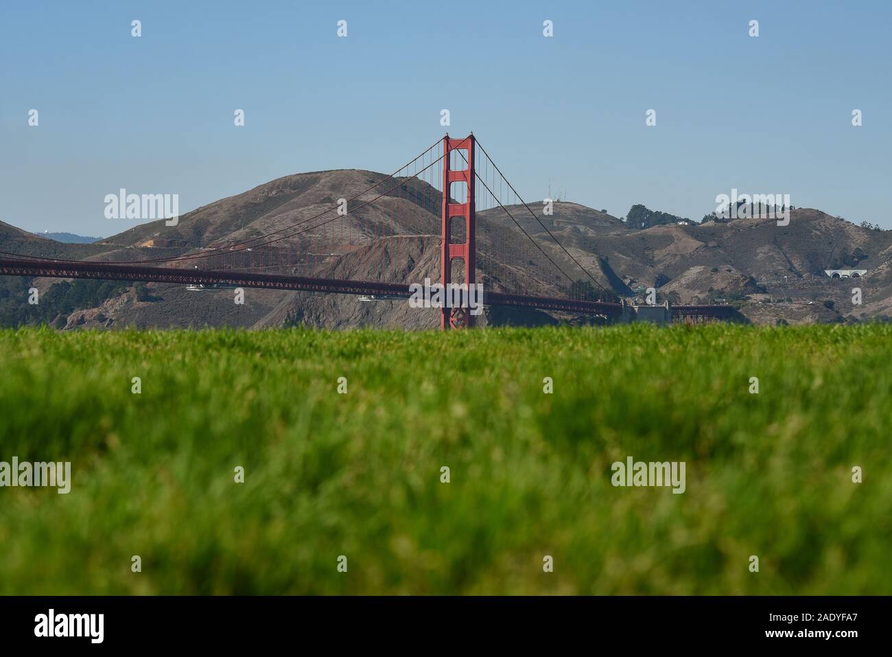 Golden Gate Bridge gesehen aus dem Park in der Nähe Stockfoto
