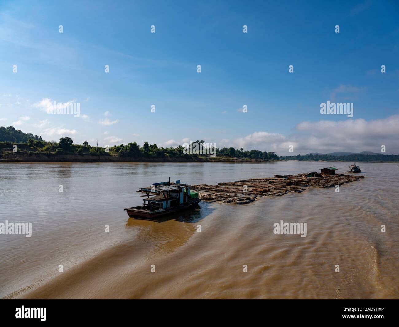 Flöße aus Protokollierung Holz (mit befristeten Mitarbeiter Gehäuse auf die Protokolle) Herabsinken der Chindwin Fluss auf holzlagerplätzen im südlichen Myanmar (Birma) Stockfoto