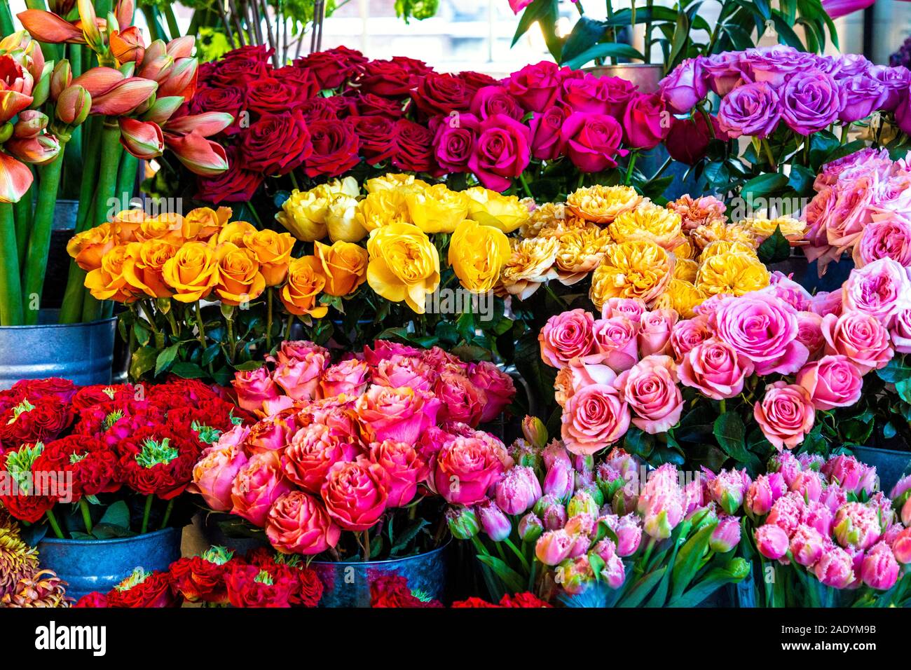 Auswahl an bunten Rosen an einem Blumenstand vor dem Michelin House, London, Großbritannien Stockfoto