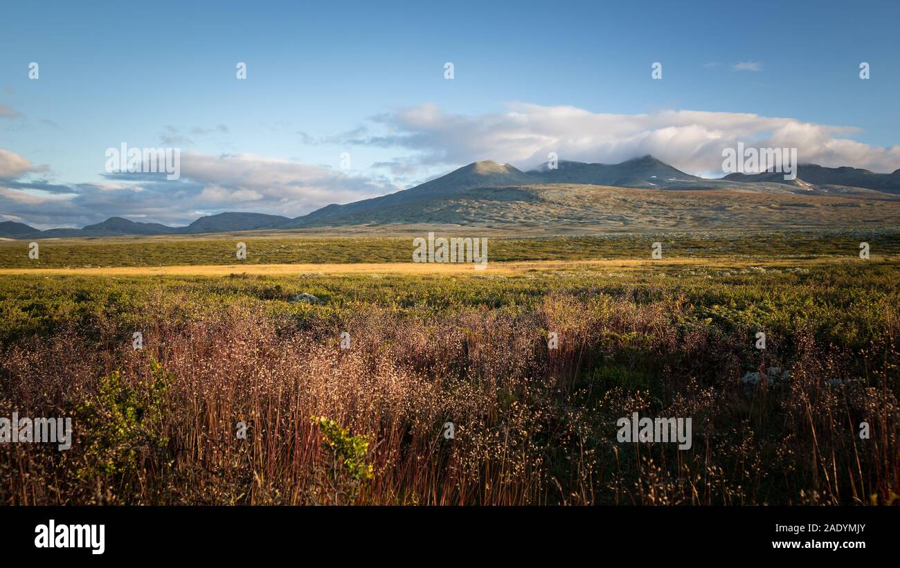 Am frühen Morgen Licht in Rondane Berge, schöne Herbstfarben und Wetter. Rondane Nationalpark, Norwegen. Stockfoto