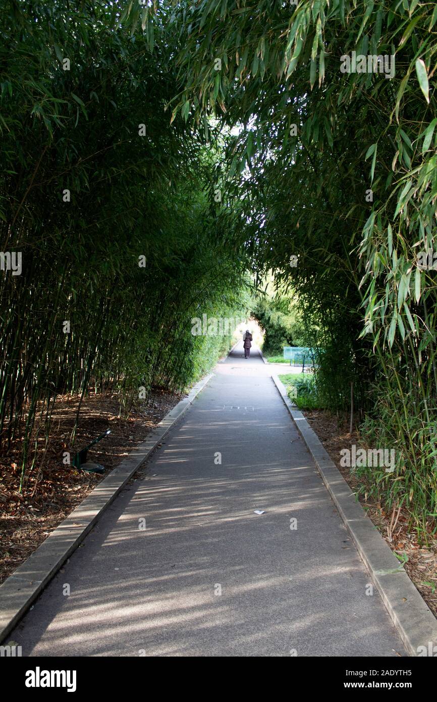 Pariser Promenade Plantée - Coulée Verte René-Dumont - Paris Frankreich Stockfoto