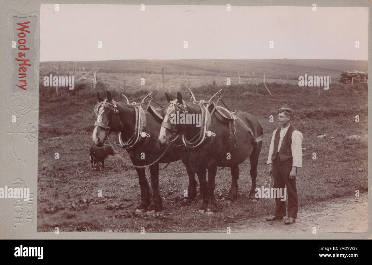 Viktorianische Keith, Moray, Schottland Kabinett Karte zeigt ein Landarbeiter/Bauer und seine zwei Pferde. Stockfoto