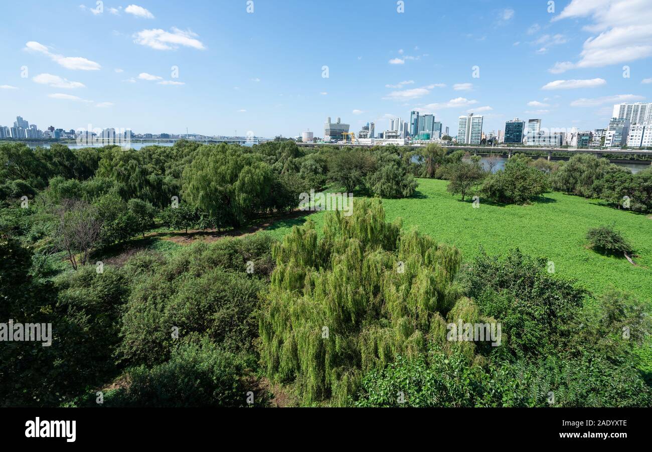 Bamseom Inselchen ein unbewohntes Naturschutzgebiet Insel in der Mitte des Flusses Han im Zentrum von Seoul, Südkorea Stockfoto