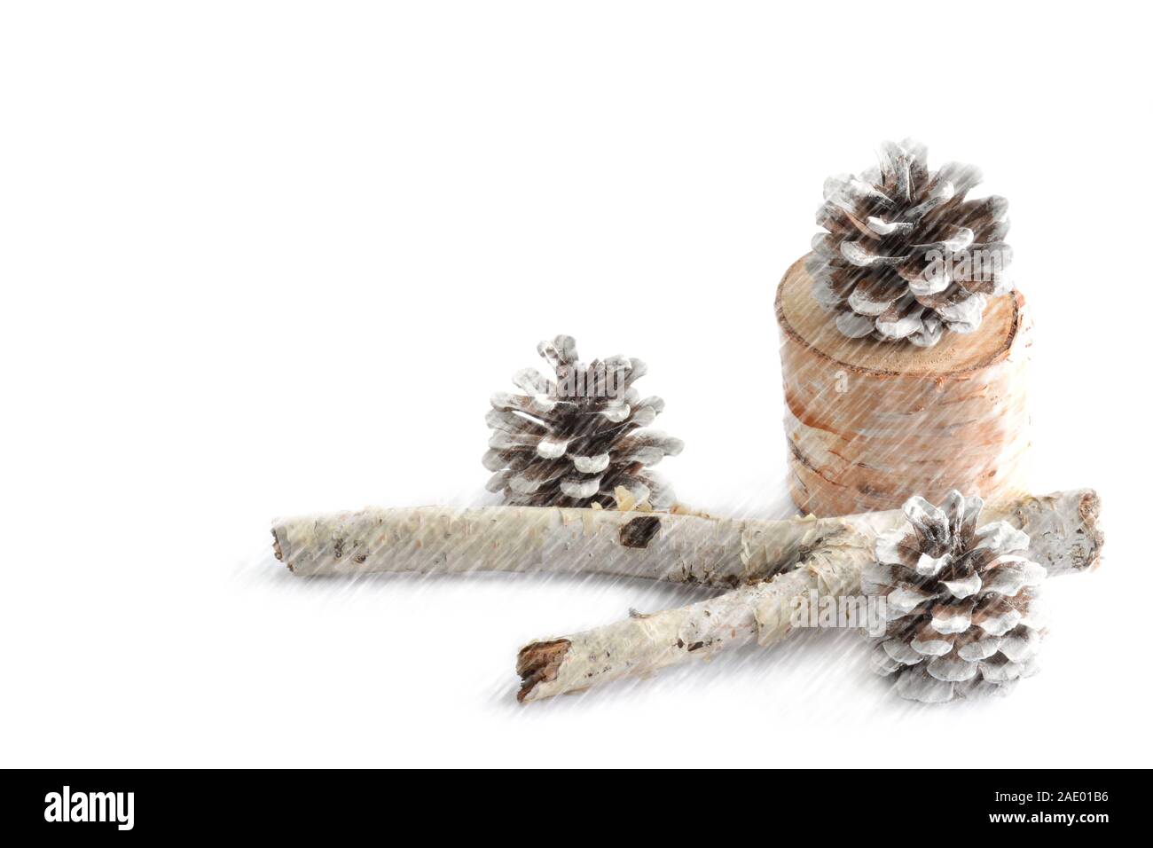Frostednpine Kegel und birke Zweig auf weißem Hintergrund. Saisonalität Konzept. Stockfoto Frostednpine Kegel und birke Zweig auf weißem Hintergrund. Saisonalität Konzept. Stockfoto
